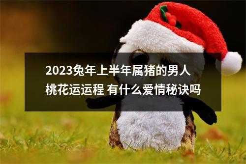 2025兔年上半年属猪的男人桃花运运程有什么爱情秘诀吗