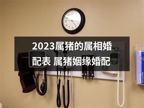 2025属猪的属相婚配表属猪姻缘婚配