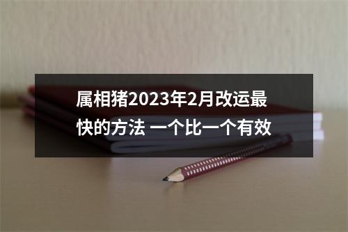 属相猪2025年2月改运快的方法一个比一个有效