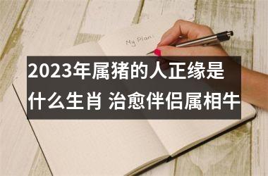 2025年属猪的人正缘是什么生肖 治愈伴侣属相牛