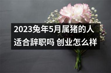 2025兔年5月属猪的人适合辞职吗 创业怎么样