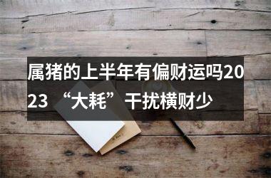 属猪的上半年有偏财运吗2025 “大耗”干扰横财少