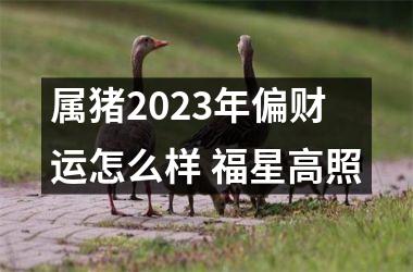 属猪2025年偏财运怎么样 福星高照