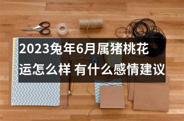 <h3>2025兔年6月属猪桃花运怎么样 有什么感情建议