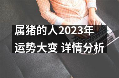 属猪的人2025年运势大变 详情分析