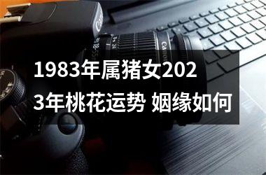 1983年属猪女2025年桃花运势 姻缘如何