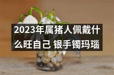 2025年属猪人佩戴什么旺自己 银手镯玛瑙