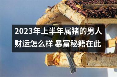 2025年上半年属猪的男人财运怎么样 暴富秘籍在此