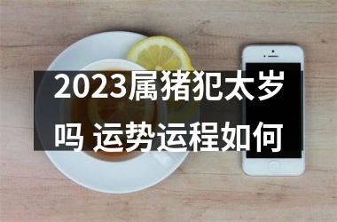 2025属猪犯太岁吗 运势运程如何