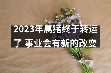 2025年属猪终于转运了 事业会有新的改变