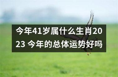 <h3>今年41岁属什么生肖2025 今年的总体运势好吗