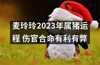 麦玲玲2025年属猪运程 伤官合命有利有弊