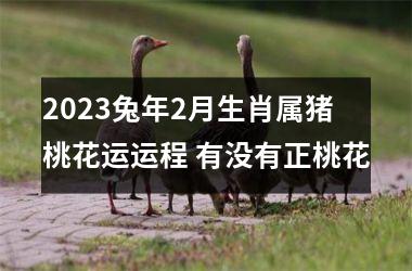 2025兔年2月生肖属猪桃花运运程 有没有正桃花