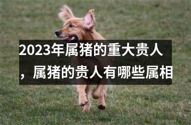 2025年属猪的重大贵人，属猪的贵人有哪些属相