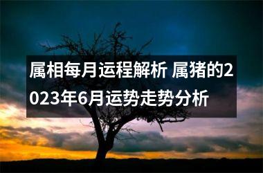 属相每月运程解析 属猪的2025年6月运势走势分析