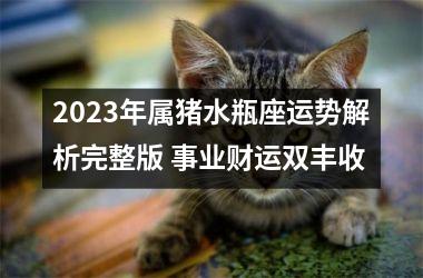 2025年属猪水瓶座运势解析完整版 事业财运双丰收