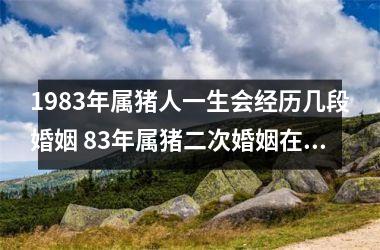 1983年属猪人一生会经历几段婚姻 83年属猪二次婚姻在几岁