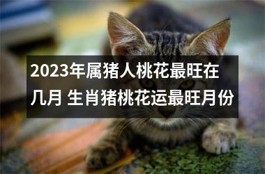 2025年属猪人桃花旺在几月 生肖猪桃花运旺月份