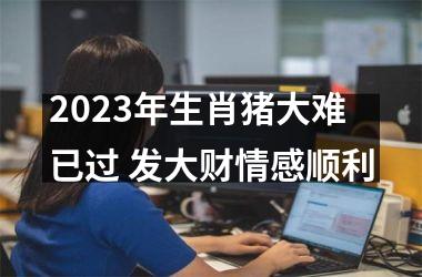 2025年生肖猪大难已过 发大财情感顺利