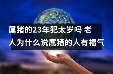 属猪的23年犯太岁吗 老人为什么说属猪的人有福气