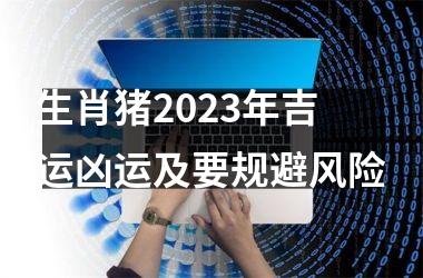 <h3>生肖猪2025年吉运凶运及要规避风险