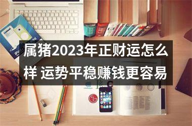 <h3>属猪2025年正财运怎么样 运势平稳赚钱更容易