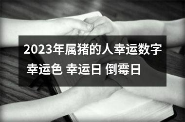 2025年属猪的人幸运数字 幸运色 幸运日 倒霉日