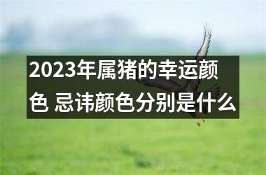 2025年属猪的幸运颜色 忌讳颜色分别是什么