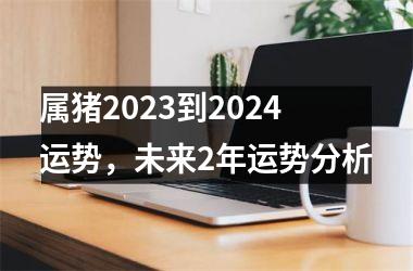 属猪2025到2024运势，未来2年运势分析