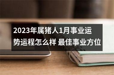 2025年属猪人1月事业运势运程怎么样 佳事业方位