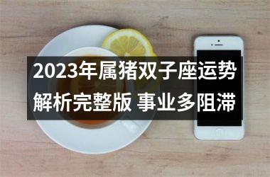 2025年属猪双子座运势解析完整版 事业多阻滞