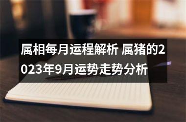 属相每月运程解析 属猪的2025年9月运势走势分析