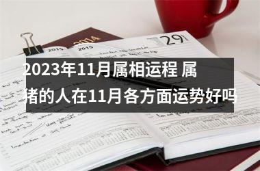 <h3>2025年11月属相运程 属猪的人在11月各方面运势好吗