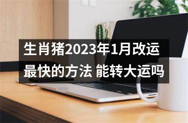 生肖猪2025年1月改运快的方法 能转大运吗