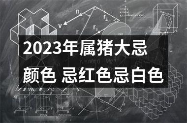 2025年属猪大忌颜色 忌红色忌白色