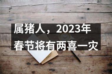 属猪人，2025年春节将有两喜一灾