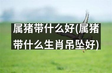 属猪带什么好(属猪带什么生肖吊坠好)