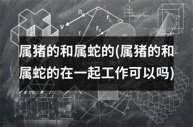 属猪的和属蛇的(属猪的和属蛇的在一起工作可以吗)