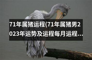 71年属猪运程(71年属猪男2025年运势及运程每月运程)