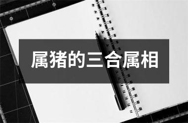 属猪的三合属相