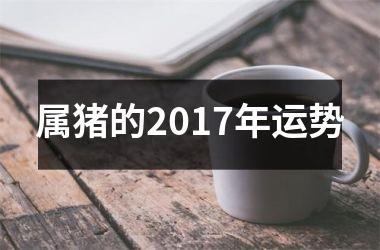 属猪的2017年运势