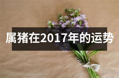 属猪在2017年的运势