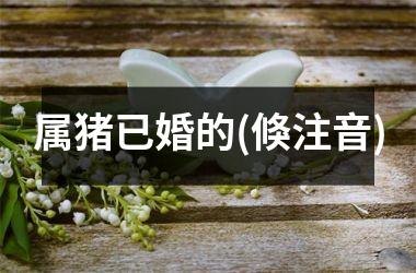 属猪已婚的(倏注音)