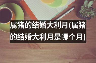 属猪的结婚大利月(属猪的结婚大利月是哪个月)