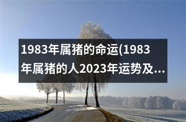 1983年属猪的命运(1983年属猪的人2025年运势及运程)