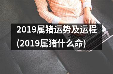 2019属猪运势及运程(2019属猪什么命)