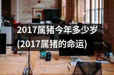 2017属猪今年多少岁(2017属猪的命运)