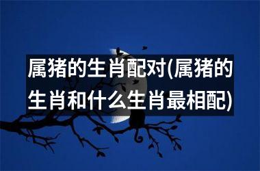 属猪的生肖配对(属猪的生肖和什么生肖相配)