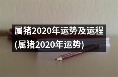 属猪2025年运势及运程(属猪2025年运势)