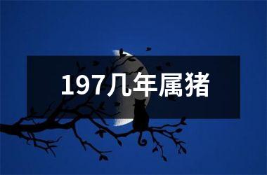 197几年属猪